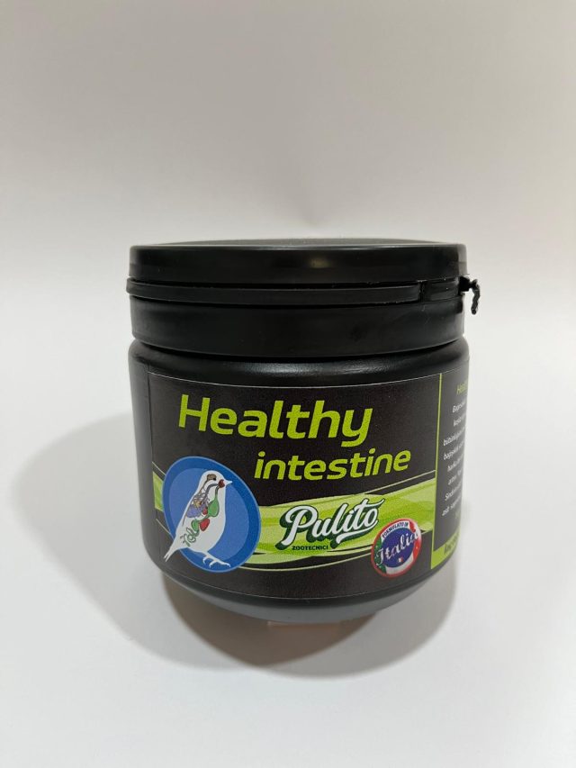 Pulito Healthy Intestine-Bağırsak sağlığı 300gr