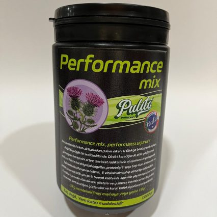 Pulito Performance Mix-Doğal Antioksidan 1000gr
